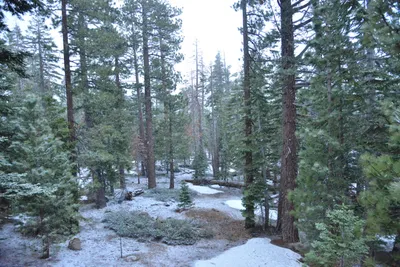 DSC_6648 (Large).JPG